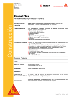Descal Flex - Sika Paraguay