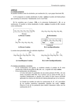 Anexo sobre la nomenclatura de aminas y &eacute;teres