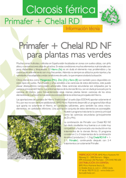Bolet&iacute;n clorosis f&eacute;rrica - BMS Micro