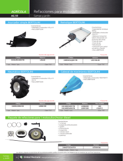 50 Paquete de refacciones para 1 motocultor/motor diesel