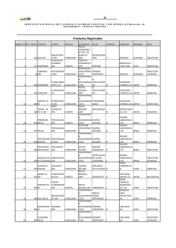 Productos Registrados