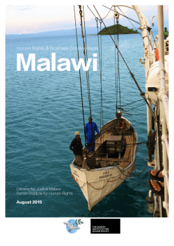 the Human Rights and Business Country Guide Malawi