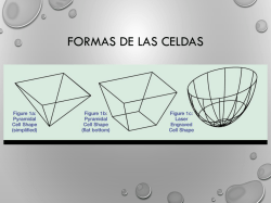 Control de calidad en flexo parte 2b