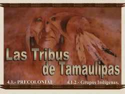&ldquo;tamaulipas&rdquo;.