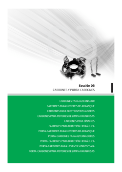 Secci&oacute;n 3 Carbones y Porta-Carbones