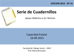 Te&oacute;rico Nro. 17 Capacidad Estatal