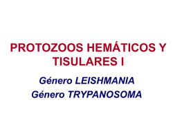 G&eacute;nero Leishmania y Trypanosoma