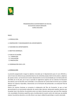 programaci&oacute;n de departamento de feie del ies gustavo adolfo