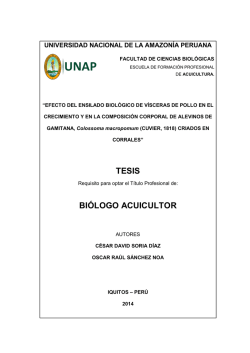 tesis - Universidad Nacional de la Amazon&iacute;a Peruana
