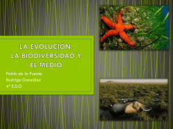 LA EVOLUCI&Oacute;N. LA BIODIVERSIDAD Y EL MEDIO