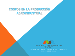 Costos en la producci&oacute;n agroindustrial