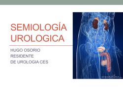 SEMIOLOG&Iacute;A UROLOGICA