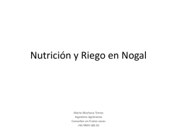 Nutrici&oacute;n e Irrigaci&oacute;n del Avellano Europeo