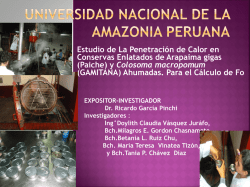 ponencia encunentro cientifico internacional