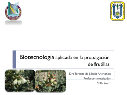 Micropropagaci&oacute;n de Berries
