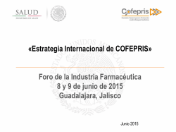 6.-Dr. Mario Alanis Garza Estrategia Internacional