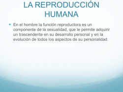 LA REPRODUCCI&Oacute;N HUMANA