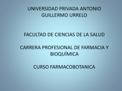 PROFESOR, DOCTOR ABUNDIO SAGASTEGUI ALVA (1932 * 2012)
