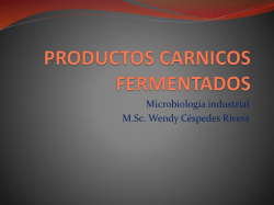 PRODUCTOS CARNICOS FERMENTADOS