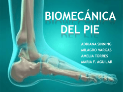 biomec&aacute;nica del pie