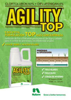 clortoluron 60% + diflufenican 4%