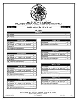 18 - Tribunal Federal de Conciliaci&oacute;n y Arbitraje