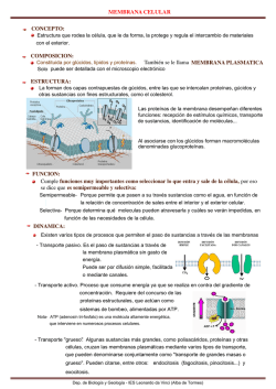 MEMBRANA CELULAR CONCEPTO: COMPOSICION: Tambi&eacute;n se