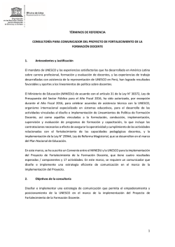 consultor&iacute;a para comunicador del proyecto de