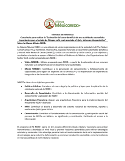 Descarga aqu&iacute; los T&eacute;rminos de referencia.