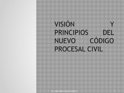 Visi&oacute;n y principios del nuevo C&oacute;digo Procesal Civil