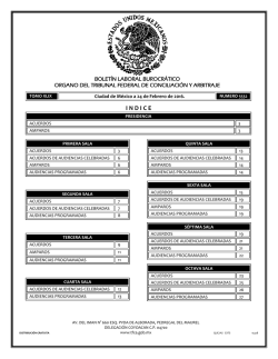 24 - Tribunal Federal de Conciliaci&oacute;n y Arbitraje