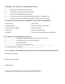 ESCRIBE VOF, SEG&Uacute;N SEA VERDADERO O