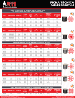 ficha t&eacute;cnica