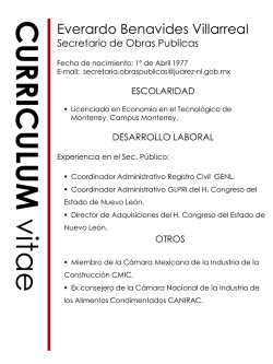 Curr&iacute;culum Vitae