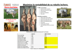 Maximice la rentabilidad de su reba&ntilde;o lechero.