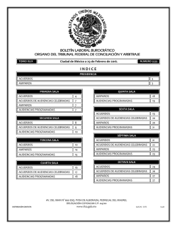 29 - Tribunal Federal de Conciliaci&oacute;n y Arbitraje