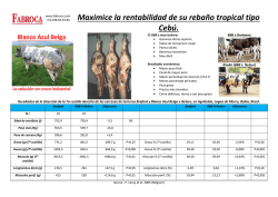Maximice la rentabilidad de su reba&ntilde;o tropical tipo Ceb&uacute;.