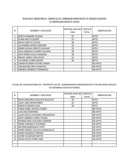 n&deg; nombre y apellidos puntaje hoja de vida puntaje