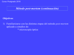 Te&oacute;rica 2 (1-03)
