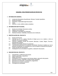 ESQUEMA PARA PRESENTACI&Oacute;N DE PROYECTOS 1