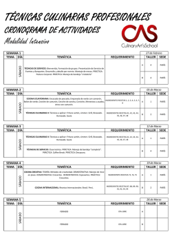 Cronograma T&eacute;cnicas Culinarias Profesionales modalidad intensivo