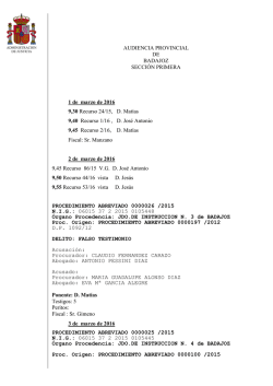 AUDIENCIA PROVINCIAL DE BADAJOZ SECCI&Oacute;N PRIMERA 1 de
