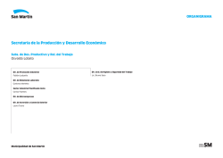 organigrama - Municipalidad de San Mart&iacute;n