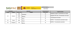 206 Loporzano SI Agragado 6 Aguas. Concentraci&oacute;n de