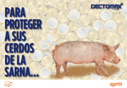 ZOETIS Dectomax