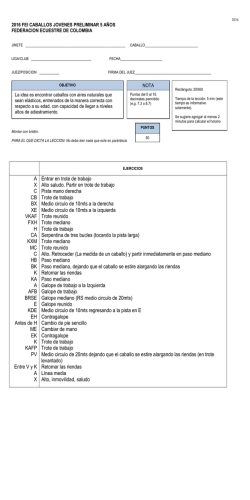 2016 FEI Caballos J&oacute;venes Preliminar 5 A&ntilde;os