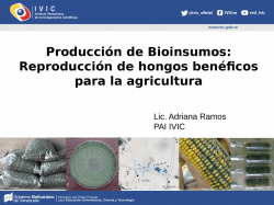 Producci&oacute;n de Bioinsumos