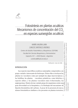Fotos&iacute;ntesis en plantas acu&aacute;ticas Mecanismos de concentraci&oacute;n del