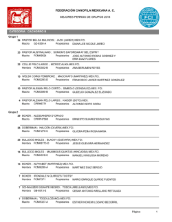 Grupos del A&ntilde;o