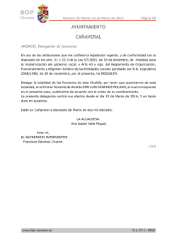 AYUNTAMIENTO CA&Ntilde;AVERAL